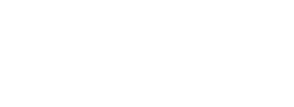 wordpress wordpress
